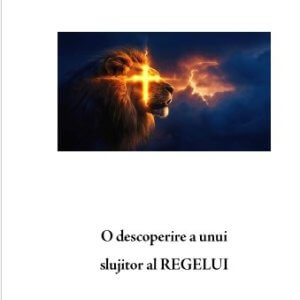 THE ULTIMATE QUESTION - ÎNTREBAREA ULTIMĂ (Romanian translation)